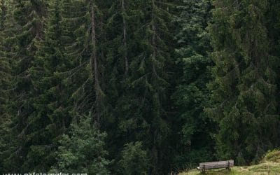 Cuánto tiempo requiere un tratamiento psicoanalítico