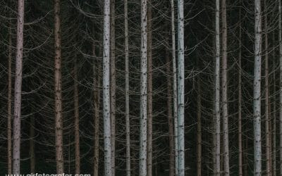 Toxicomanía y Psicoanálisis