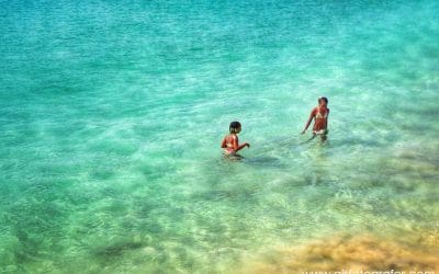 El año 2020 tiene que ser el tuyo