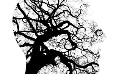 Tricofagia y tricotilomanía